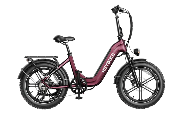 High-Performance Fat Tire Electric Bike