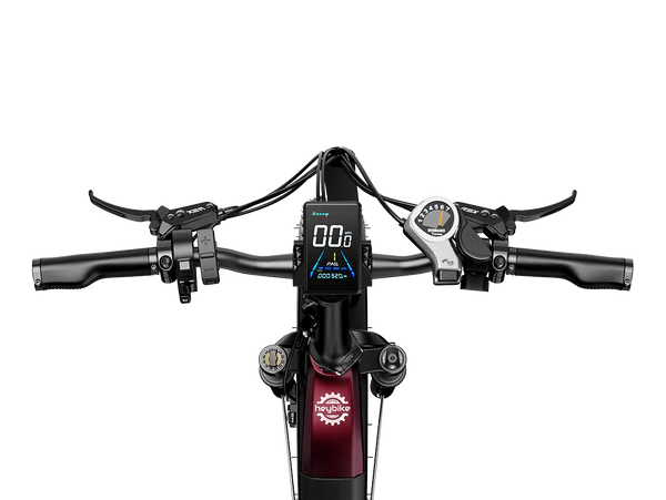 High-Performance Fat Tire Electric Bike