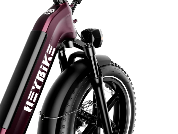 High-Performance Fat Tire Electric Bike