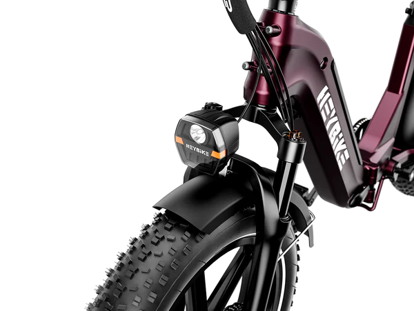 High-Performance Fat Tire Electric Bike