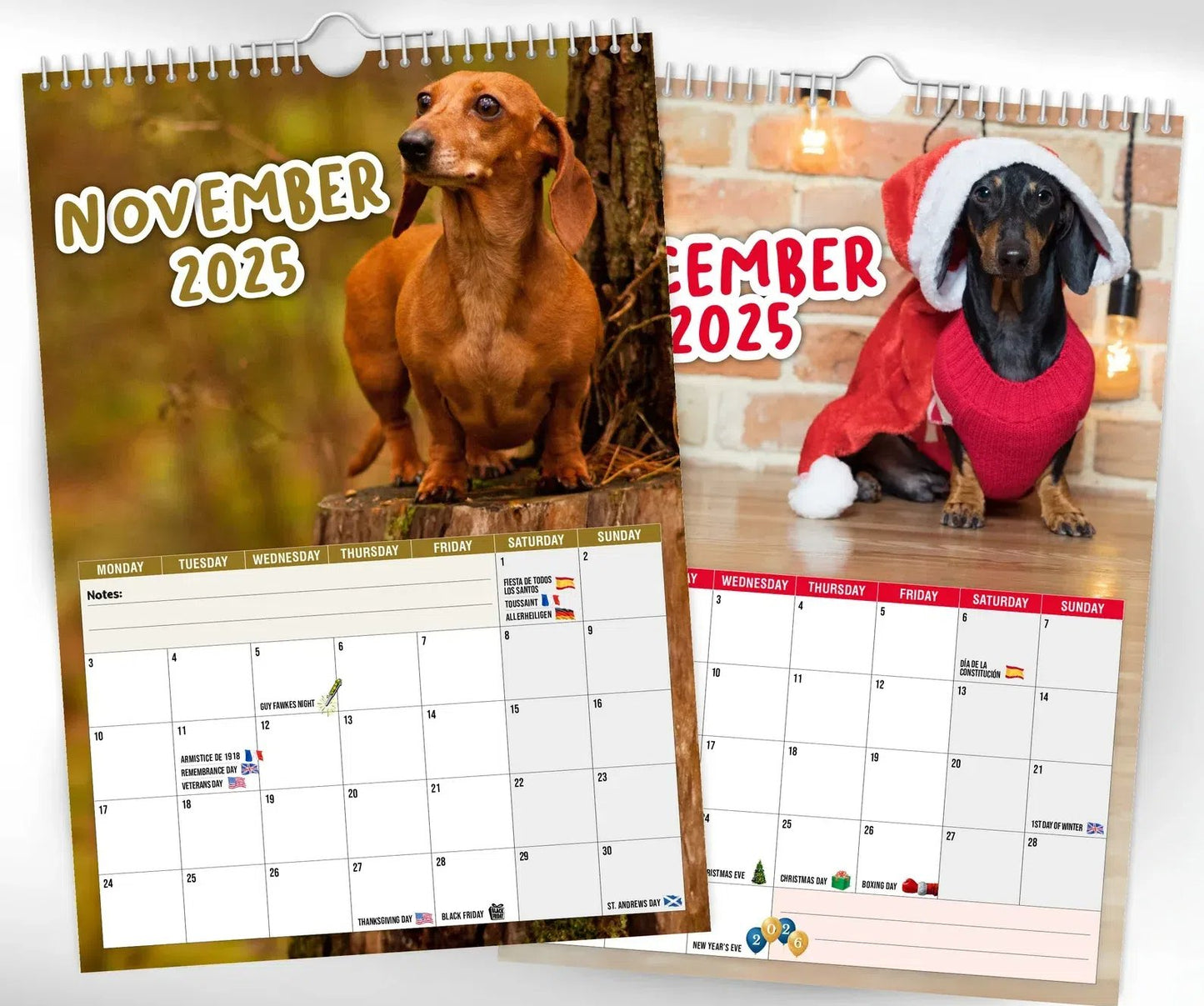 Cheeky Dachshunds - 2025 Wall Calendar