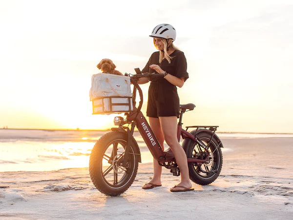 High-Performance Fat Tire Electric Bike
