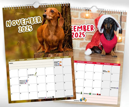 Cheeky Dachshunds - 2025 Wall Calendar